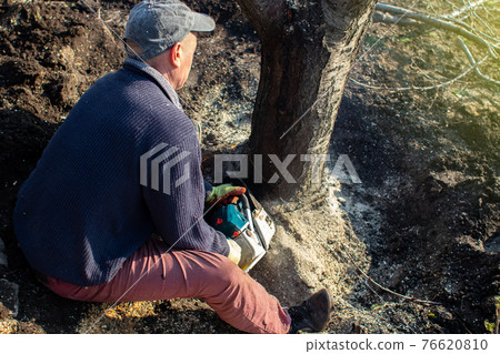 A man lumberjack is sawing a tree with a chainsaw. The sawdust is thrown straight into the screen. Farmer at work. Grubbing old trees. The concept of deforestation and the active work of the industry 76620810