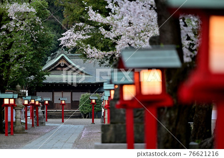 早上7點的鷲宮神社 早上7點的鷲宮神社 76621216