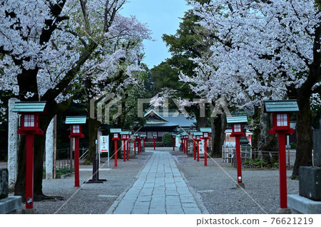 清晨的鷲宮神社 4 清晨的鷲宮神社 4 76621219