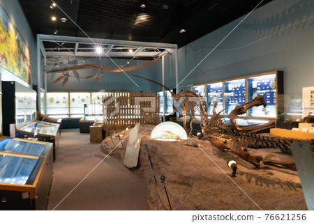 Blurred image of fossil museum Blurred image of fossil museum 76621256