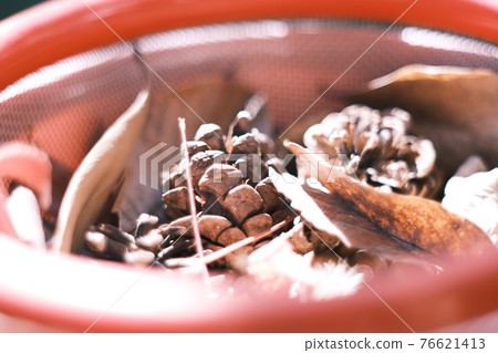 Pinecone 76621413