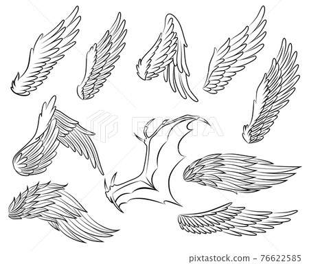 Collection of vintage heraldic wings sketch. Monochrome stylized birds wings. Hand drawn contoured stiker wing in open position. Design elements in coloring style Collection of vintage heraldic wings sketch. Monochrome stylized birds wings. Hand drawn contoured stiker wing in open position. Design elements in coloring style 76622585