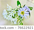 小瓶中的白花 76622921