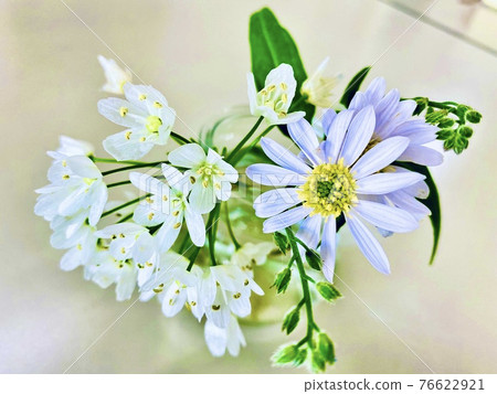小瓶中的白花 小瓶中的白花 76622921
