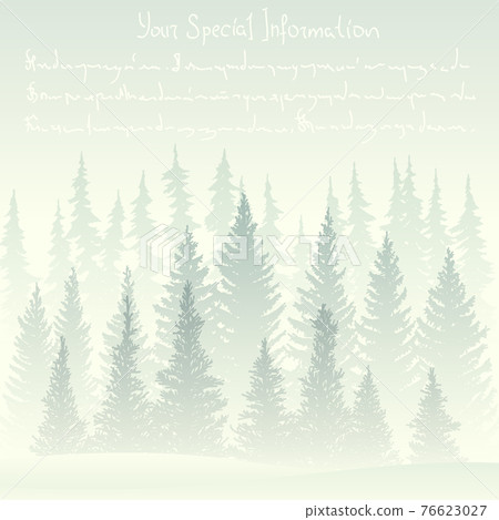 Square illustration of winter card with foggy coniferous forest. 76623027