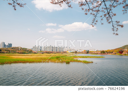 Hwarang Recreation Area park at spring in Ansan, Korea Hwarang Recreation Area park at spring in Ansan, Korea 76624196