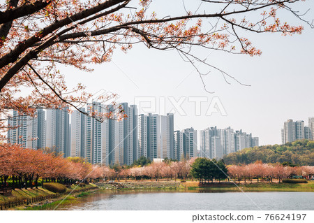 Hwarang Recreation Area park and modern apartment buildings at spring in Ansan, Korea 76624197