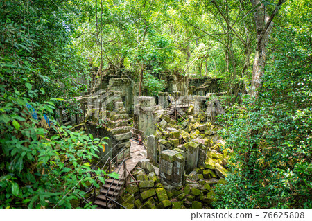 Benmeria [Cambodia] 76625808