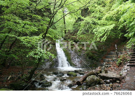 Fukyo Falls, Nasushiobara City, Tochigi Prefecture (May) 76626068