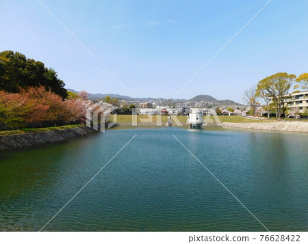 Niteko Pond (photographed in April 2021 in Nishinomiya City, Hyogo Prefecture) 76628422