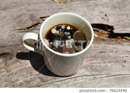 mold in the unwashed cup after cup of coffee on grungy wooden background, A cup of coffee left for several days until the fungus occurs. 76628490