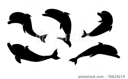 Cute dolphin set 76629214