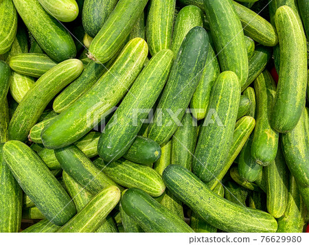 Macro photo of fresh cucumber for backgrounds concept Macro photo of fresh cucumber for backgrounds concept 76629980