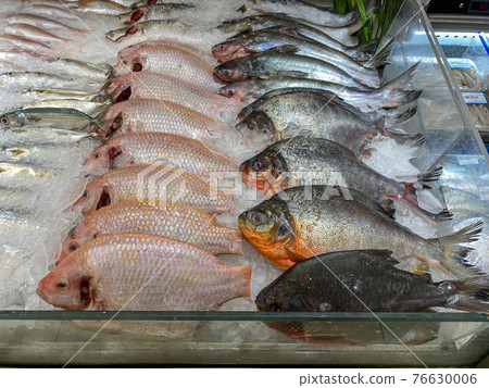 Pile of fresh fish for sale at supermarket Pile of fresh fish for sale at supermarket 76630006