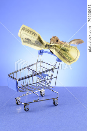 Shopping Spree Birdy Shopping Spree Birdy 76630681