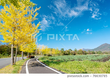 Autumn color image of Hiruzen Plateau 76630785