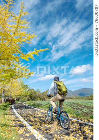 Autumn color image of Hiruzen Plateau Autumn color image of Hiruzen Plateau 76630787