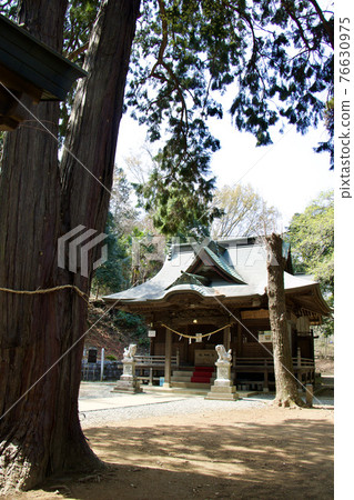 Katakura Castle Ruins Park 76630975