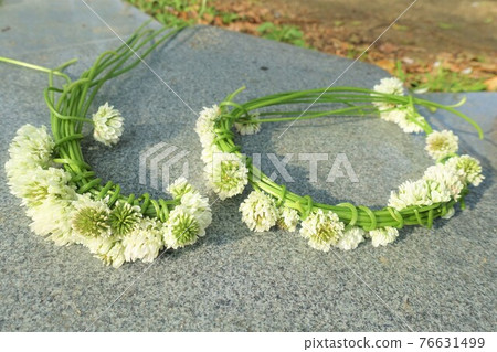 White clover wreath corolla wreath 76631499