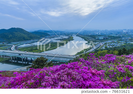 大邱臥龍山靈山紅 大邱臥龍山靈山紅 76631621