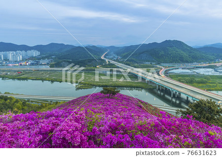 Yeongsanhong of Waryongsan Mountain in Daegu 76631623
