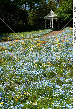春天的花園，花卉公園，盛開的春天 76632053