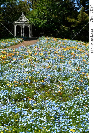 春天的花園，花卉公園，盛開的春天 76632054