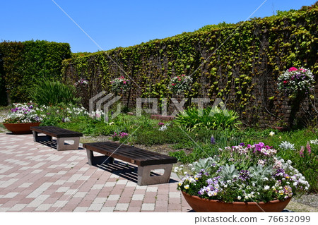 Spring flower garden, flower park, spring in full bloom 76632099