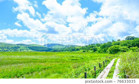 夏季八島長原濕地(八島長原濕地) 夏季八島長原濕地(八島長原濕地) 76633035