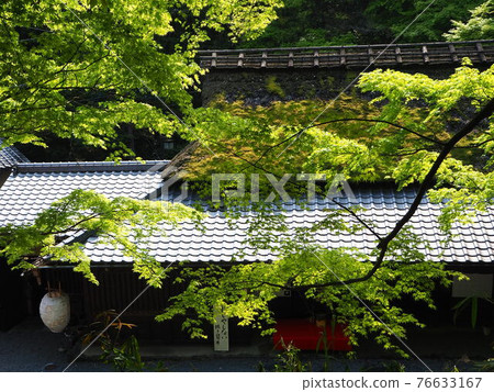 Fresh green Sagano Kita Hiranoya Fresh green Sagano Kita Hiranoya 76633167