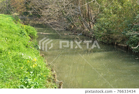 水沼田間漫步:水沼代水東緣 水沼田間漫步:水沼代水東緣 76633434
