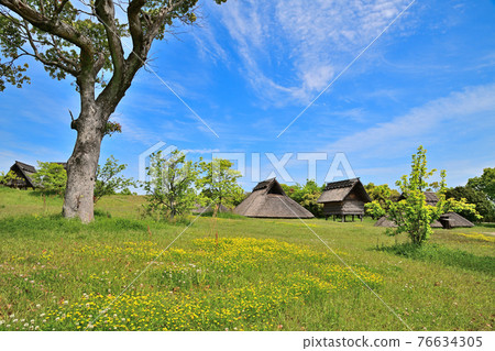 佐賀縣吉野裡歷史公園 佐賀縣吉野裡歷史公園 76634305
