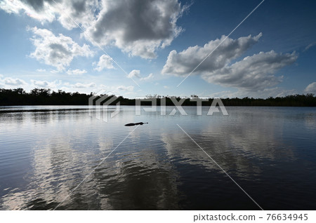 Nine Mile Pond afternoon cloudscape and reflections in Everglades National Park. Nine Mile Pond afternoon cloudscape and reflections in Everglades National Park. 76634945