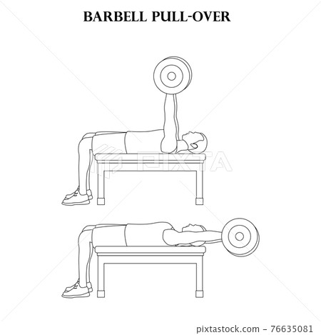 Poll Over Barbell pull-over exercise strength workout... - Stock Illustration ...
