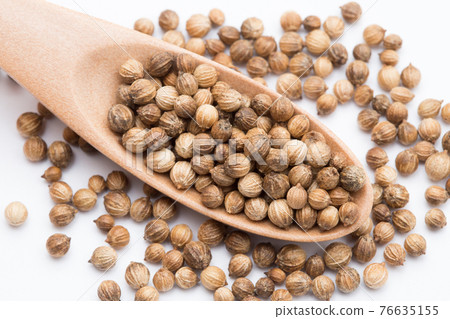 Coriander seeds Coriander seeds Coriander seeds Studio shot 76635155