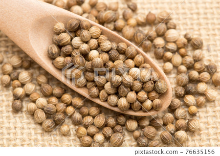 香菜種子 香菜種子 香菜種子 香菜種子 香菜種子 香菜種子 香菜種子 香菜種子 76635156