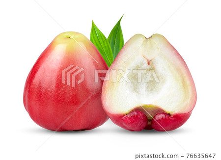 rose apple on white background rose apple on white background 76635647