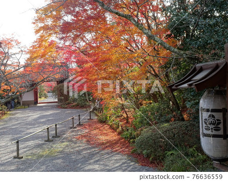 京都的紅葉勝地,上正寺 京都的紅葉勝地,上正寺 76636559
