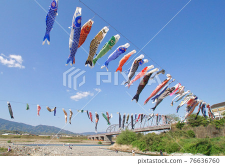 和歌山縣伊東郡工藤山町入川藍天飄揚的鯉魚旗 和歌山縣伊東郡工藤山町入川藍天飄揚的鯉魚旗 76636760