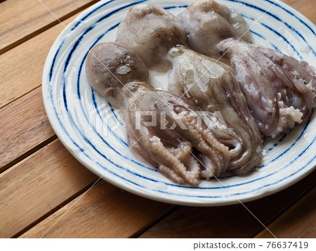 Fresh natural seafood squid, food ingredient 76637419