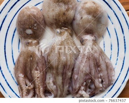 Fresh natural seafood squid, food ingredient Fresh natural seafood squid, food ingredient 76637437