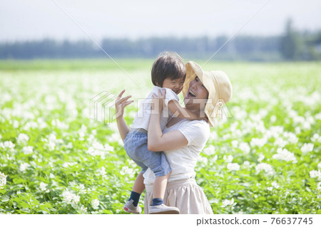 Parents and children playing in a potato field 76637745