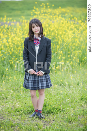 Rape blossoms and high school girls 76637809
