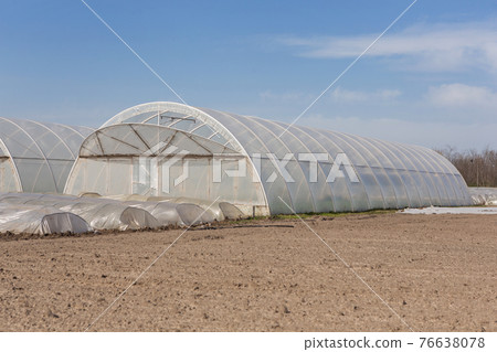 large and small greenhouses on farmland, cultivation of vegetables large and small greenhouses on farmland, cultivation of vegetables 76638078