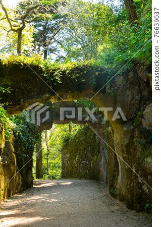 Park at sunny day in Quinta da Regaleira estate in Sintra Park at sunny day in Quinta da Regaleira estate in Sintra 76639037