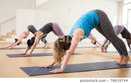 Young woman standing in stretching asana Adho Mukha Shvanasana Young woman standing in stretching asana Adho Mukha Shvanasana 76639744