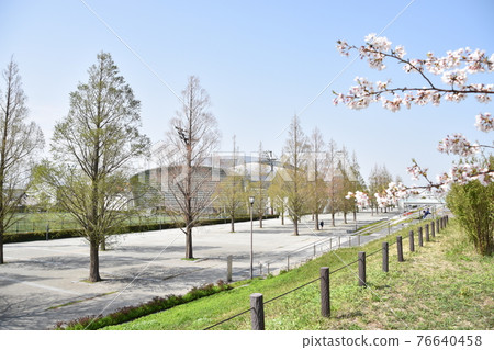 Hiratsuka Sun Life Arena and Sakura Hiratsuka Sun Life Arena and Sakura 76640458