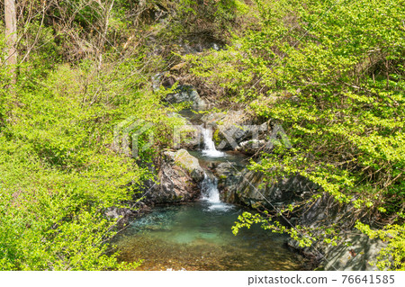 沿著武子山後的林道可以看到的瀑布 沿著武子山後的林道可以看到的瀑布 76641585