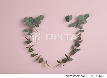 Eucalyptus branches on a pink background. Fresh eucalyptus leaves as a base for cosmetics based on natural oils and fragrances. Eucalyptus branches on a pink background. Fresh eucalyptus leaves as a base for cosmetics based on natural oils and fragrances. 76641662