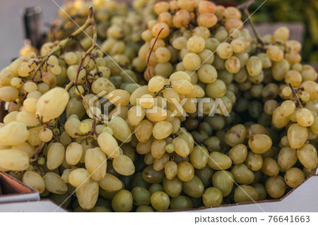 Fresh fruit brunch green grapes in paper boxes at grocery store, local products Fresh fruit brunch green grapes in paper boxes at grocery store, local products 76641663
